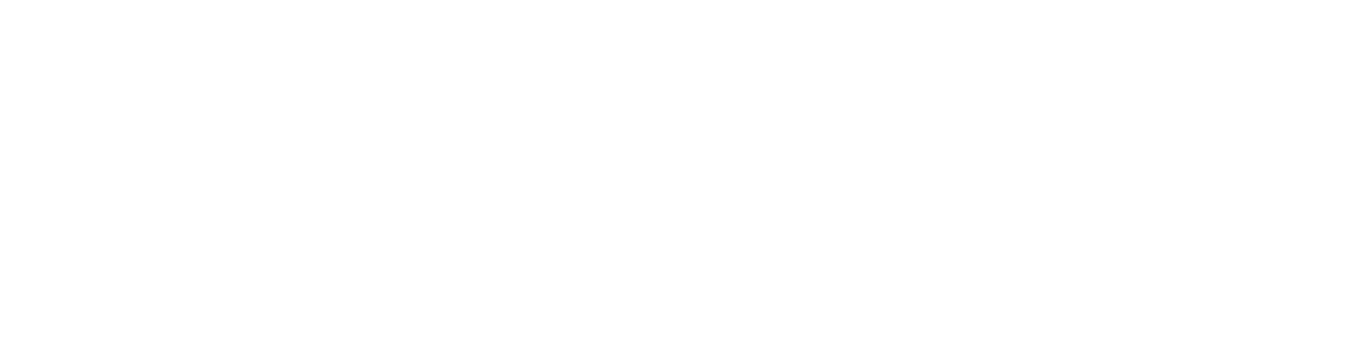 The Strive Lab